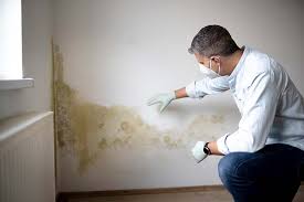 Best Commercial Mold Inspection  in Foxfire, NC